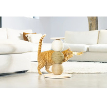 Katze spielt mit einem Kratzbaum aus Sisal und Holz in einem hellen Raum