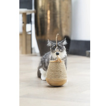 Eine Maine-Coon-Katze spielt mit einem Kratzbaum mit Spielzeug.