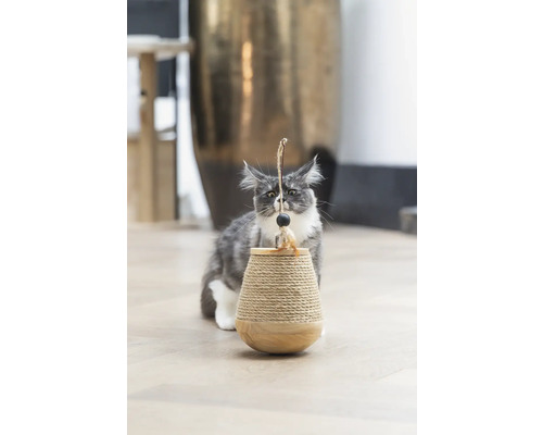 Eine Maine-Coon-Katze spielt mit einem Kratzbaum mit Spielzeug.