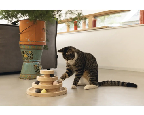 Katze spielt mit einem interaktiven Holzspielzeug mit mehreren Ebenen und kleinen Kugeln.