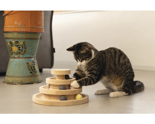 Eine getigerte Katze spielt mit einem hölzernen Intelligenzspielzeug.