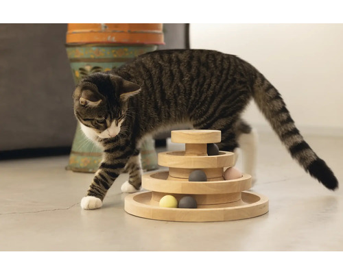 Katze mit interaktivem Holzspielzeug mit mehreren Ebenen und kleinen Bällen