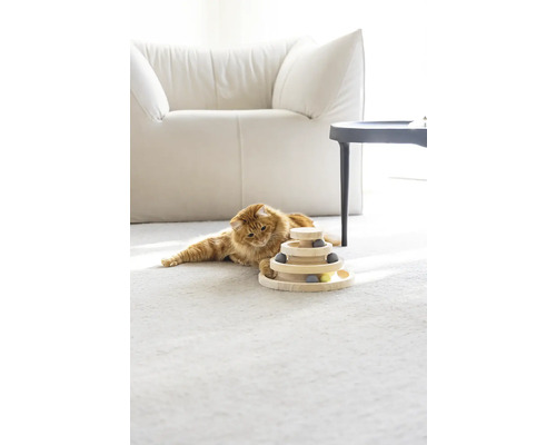 Katze liegt auf dem Teppich neben einem hölzernen Kugelstapelspielzeug