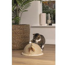 Katze spielt mit einem Kratzspielzeug mit Federn in einem Wohnzimmer.