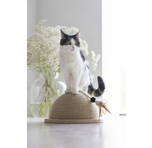 Katze auf einem Kratzbaum mit Spielzeug