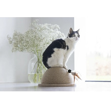 Eine Katze sitzt auf einem Kratzbaum neben einem Blumenstrauß.
