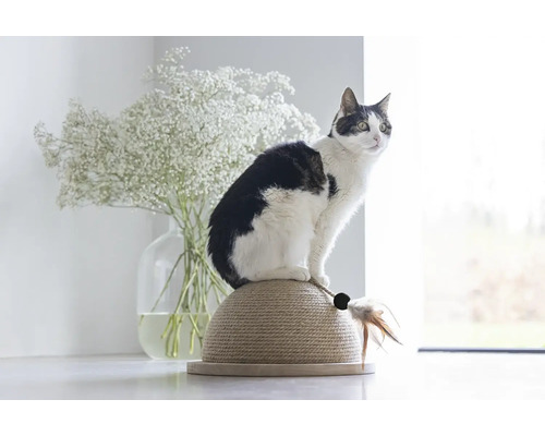 Eine Katze sitzt auf einem Kratzbaum neben einem Blumenstrauß.