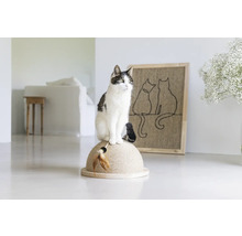 Katze sitzt auf einem Katzenkratzbaum in einem hellen Raum.