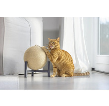 Katze kratzt an einem Kratzball auf einem Ständer.