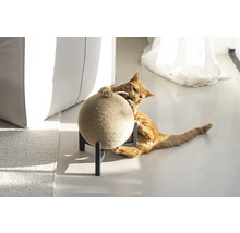 Katze spielt mit einem Kratzball auf einem Ständer.
