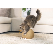 Katze spielt mit einem Kratzball in einer Wohnzimmerszene.