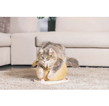 Katze auf einem Kratzbaum mit Spielzeug in einem Wohnzimmer