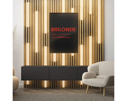 Wohnzimmer mit Holzpaneelwand, Unterschrank und Briloner Logo