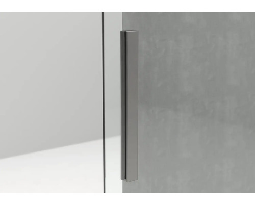 Duschkabine Detailansicht: Türgriff aus Metall