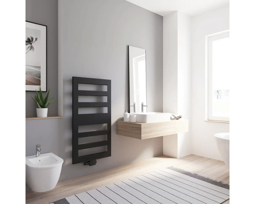 Modernes Badezimmer mit schwarzem Heizkörper, Waschtisch und Bidet