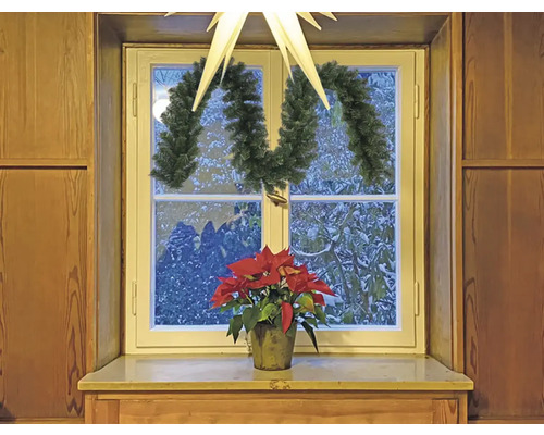 Dekorierte Fensteransicht mit Weihnachtsstern, Girlande und Weihnachtssternblume.