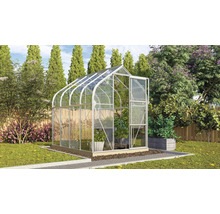 Gewächshaus im Garten mit geöffneter Tür.