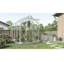 Gewächshaus im Garten mit Pflanzen und Gemüse