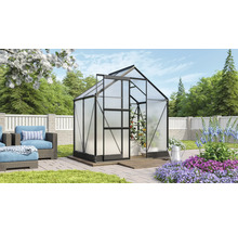 Gewächshaus mit Pflanzen im Gartenbereich