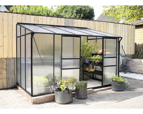 Gewächshaus mit Pflanzen im Garten