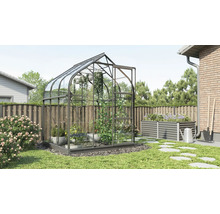 Gewächshaus mit Pflanzen im Garten