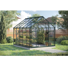 Gewächshaus im Garten mit Pflanzen und Regalen