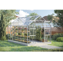 Gewächshaus mit Pflanzenregalen im Garten