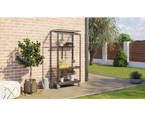 Außenszene mit einem Pflanzenregal aus Metall mit Pflanzen auf Rollen