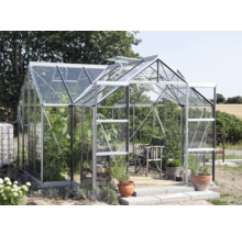 Gewächshaus mit Pflanzen, Stuhl und Töpfen im Garten