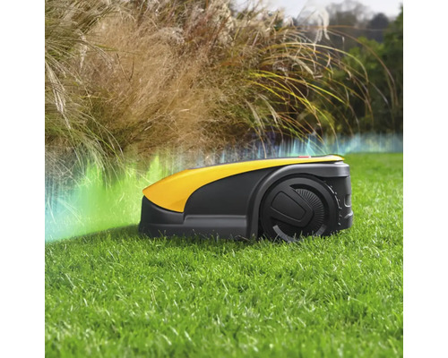 Rasenmähroboter auf einer Rasenfläche