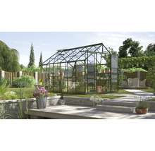 Gewächshaus im Garten mit Pflanzen auf Regalen