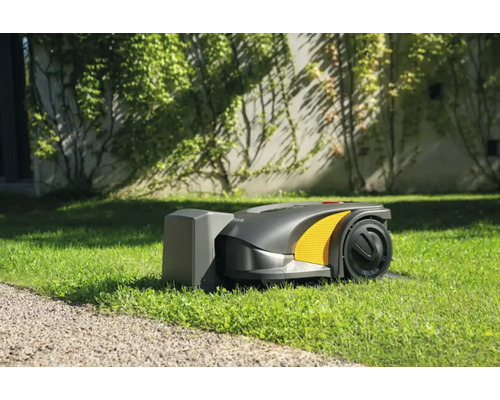 Rasenmähroboter auf Rasen vor Hauswand mit Efeu