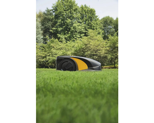 Rasenmähroboter auf einer Rasenfläche vor Bäumen