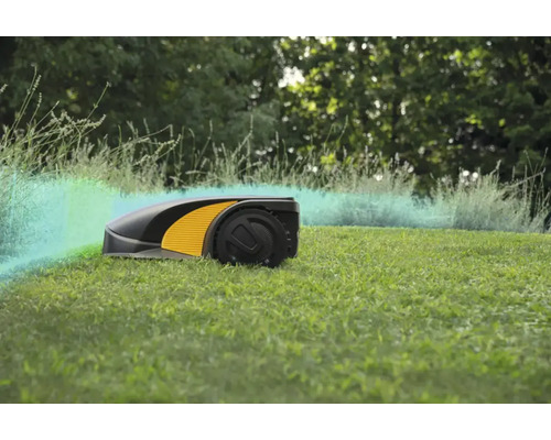 Rasenmähroboter auf Rasen