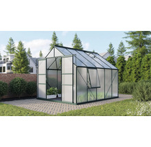 Gewächshaus mit geöffneter Tür und Fenster im Garten.
