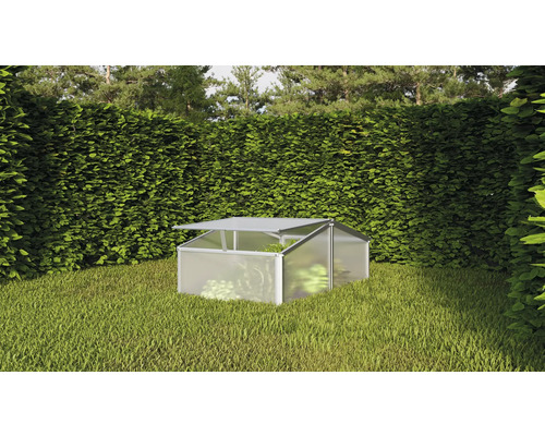 Gewächshaus im Garten mit geöffnetem Dachfenster