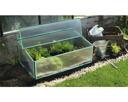 Frühbeetkasten mit Pflanzen im Garten