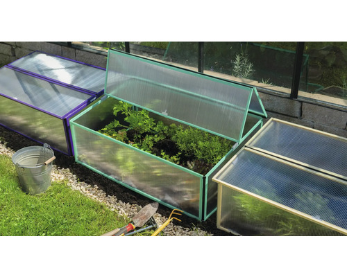 Mehrere Frühbeete im Garten mit Gemüse und Gartengeräten.