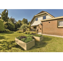Garten mit Hochbeeten, Rasenfläche und Wohnhaus