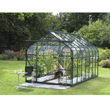 Gewächshaus mit Glas und Pflanzen im Garten