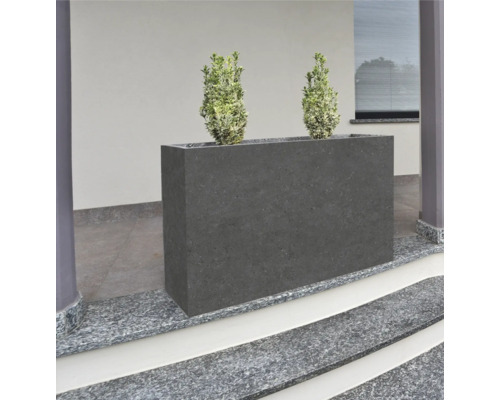 Rechteckiger Blumenkasten aus Beton mit zwei Pflanzen vor einem Haus