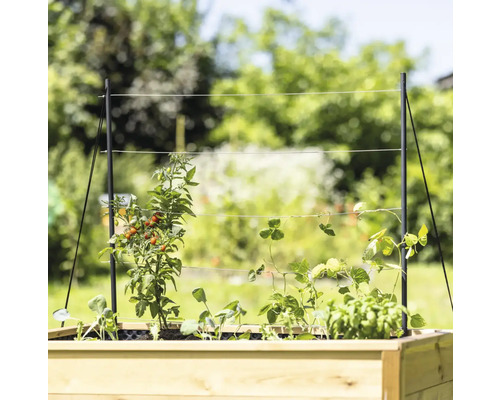 Hochbeet mit Pflanzenstütze und verschiedenen Gemüsesorten