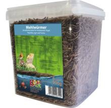Mehlwürmer als Einzelfuttermittel für freilebende Vögel, Reptilien, Igel und Fische in transparenter Kunststoffverpackung.