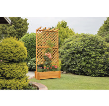 Blumenkasten mit Rankgitter promadino Holz 102 x 65 x 200 cm braun