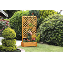 Blumenkasten mit Rankgitter promadino Holz 102 x 65 x 200 cm braun