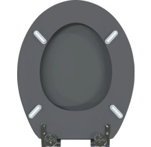 Toilettendeckel aus Duroplast mit Absenkautomatik