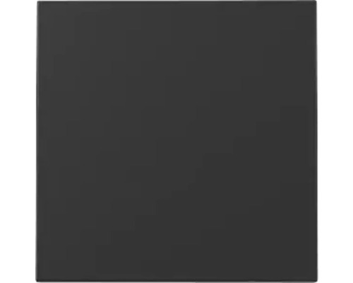 Universalwippe Wippe Gira E2 schwarz matt Quadratische Fliese