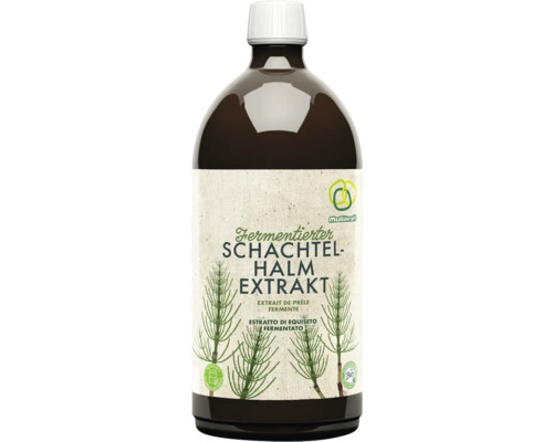 Pflanzenstärkungsmittel Schachtelhalmextrakt fermentiert Konzentrat 1 L Fermentierter Schachtelhalm Extrakt in einer Flasche