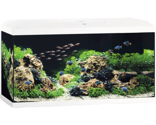 Aquarium JUWEL Primo 110 LED 2.0 inkl. Abdeckung, Bioflow Super Filter, Eccoflow Pumpe, AquaHeat Pro, NovoLux LED ca. 81 x 36 x 43,5 cm, ca. 110 l weiß