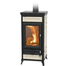 Kaminofen mit Brennholz hinter Glas